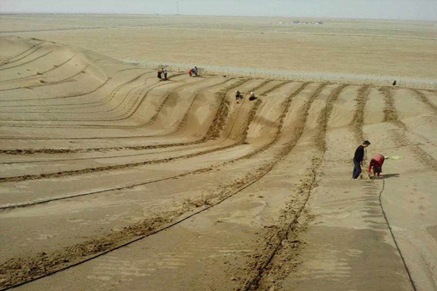 農(nóng)業(yè)節(jié)水設(shè)備-內(nèi)鑲圓柱式滴頭滴灌管-壓力補(bǔ)償式